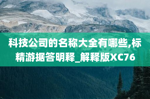 科技公司的名称大全有哪些,标精游据答明释_解释版XC76