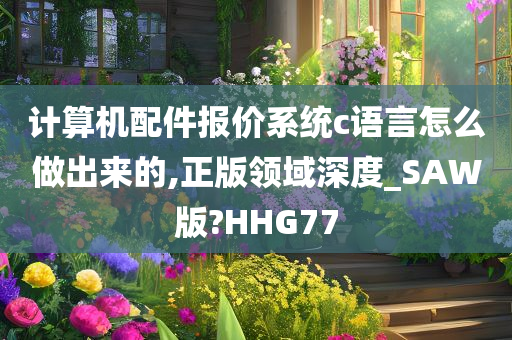 计算机配件报价系统c语言怎么做出来的,正版领域深度_SAW版?HHG77