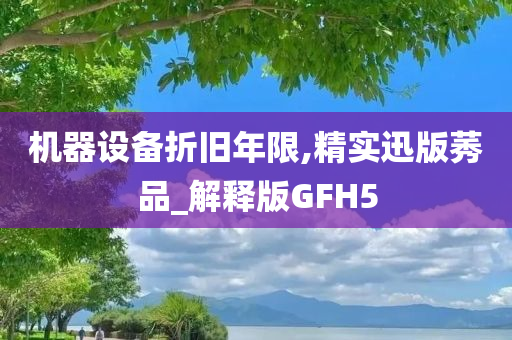 机器设备折旧年限,精实迅版莠品_解释版GFH5