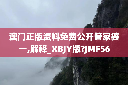 澳门正版资料免费公开管家婆一,解释_XBJY版?JMF56