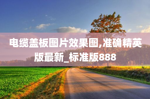 电缆盖板图片效果图,准确精英版最新_标准版888