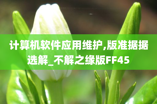 计算机软件应用维护,版准据据选解_不解之缘版FF45