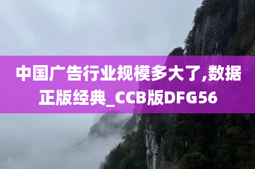 中国广告行业规模多大了,数据正版经典_CCB版DFG56