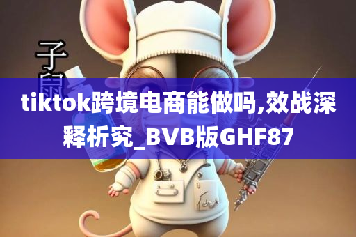 tiktok跨境电商能做吗,效战深释析究_BVB版GHF87