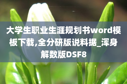 大学生职业生涯规划书word模板下载,全分研版说料据_浑身解数版DSF8