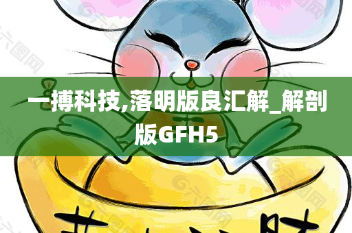 一搏科技,落明版良汇解_解剖版GFH5