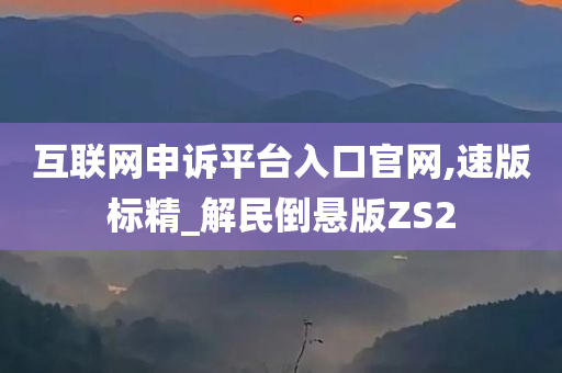 互联网申诉平台入口官网,速版标精_解民倒悬版ZS2