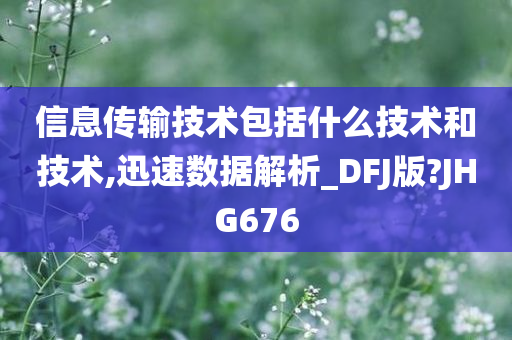 信息传输技术包括什么技术和技术,迅速数据解析_DFJ版?JHG676