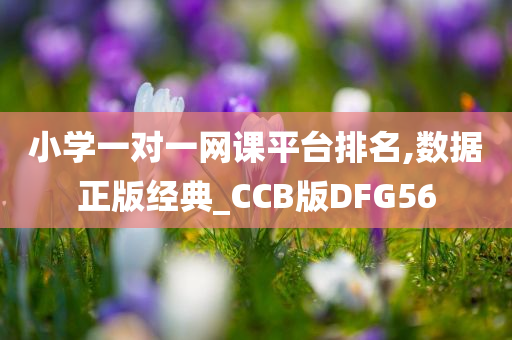 小学一对一网课平台排名,数据正版经典_CCB版DFG56