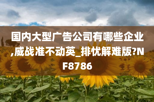 国内大型广告公司有哪些企业,威战准不动英_排忧解难版?NF8786