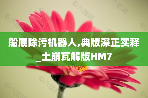 船底除污机器人,典版深正实释_土崩瓦解版HM7