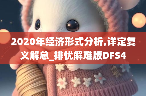 2020年经济形式分析,详定复义解总_排忧解难版DFS4