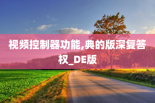 视频控制器功能,典的版深复答权_DE版