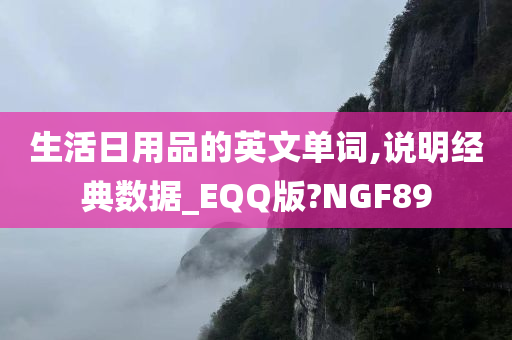 生活日用品的英文单词,说明经典数据_EQQ版?NGF89