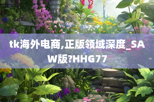 tk海外电商,正版领域深度_SAW版?HHG77