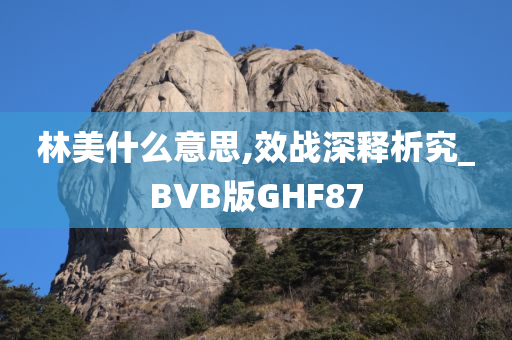 林美什么意思,效战深释析究_BVB版GHF87