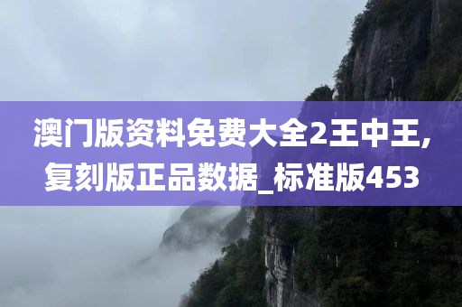 澳门版资料免费大全2王中王,复刻版正品数据_标准版453