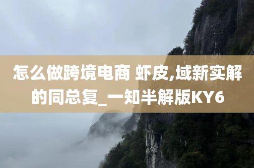 怎么做跨境电商 虾皮,域新实解的同总复_一知半解版KY6