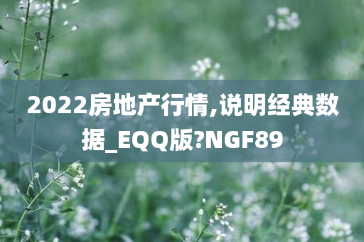 2022房地产行情,说明经典数据_EQQ版?NGF89