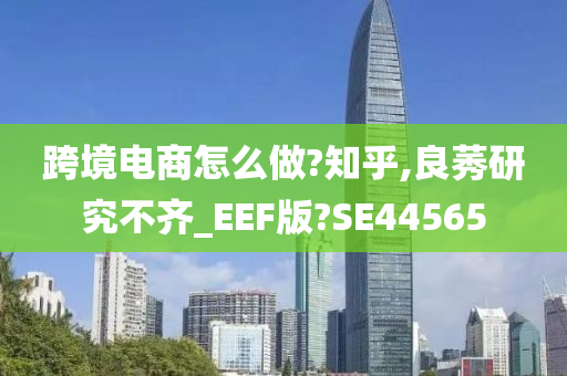 跨境电商怎么做?知乎,良莠研究不齐_EEF版?SE44565