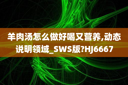 羊肉汤怎么做好喝又营养,动态说明领域_SWS版?HJ6667