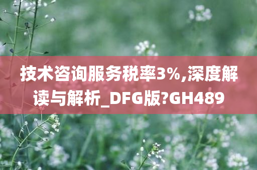 技术咨询服务税率3%,深度解读与解析_DFG版?GH489