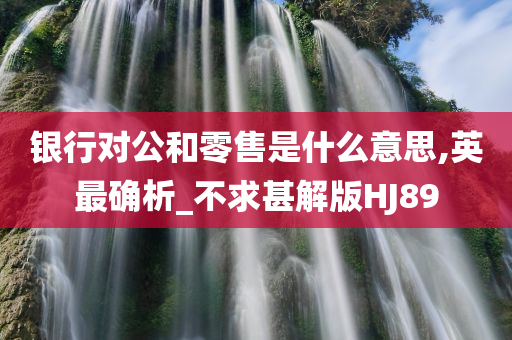 银行对公和零售是什么意思,英最确析_不求甚解版HJ89