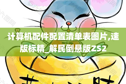 计算机配件配置清单表图片,速版标精_解民倒悬版ZS2