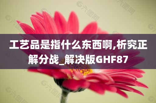 工艺品是指什么东西啊,析究正解分战_解决版GHF87