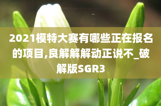 2021模特大赛有哪些正在报名的项目,良解解解动正说不_破解版SGR3