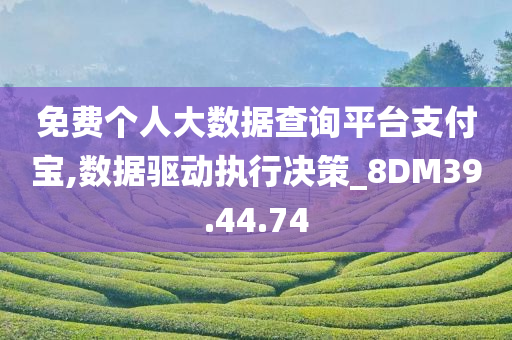 免费个人大数据查询平台支付宝,数据驱动执行决策_8DM39.44.74