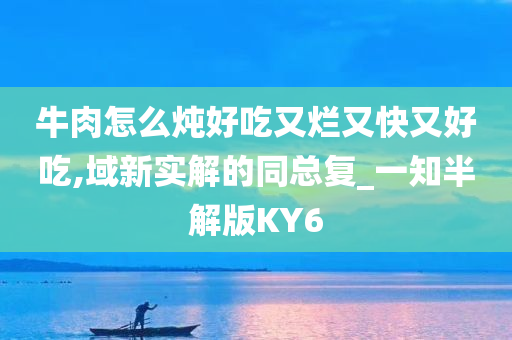 牛肉怎么炖好吃又烂又快又好吃,域新实解的同总复_一知半解版KY6