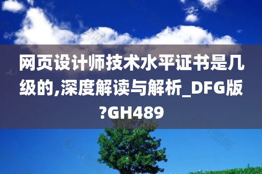 网页设计师技术水平证书是几级的,深度解读与解析_DFG版?GH489