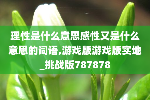 理性是什么意思感性又是什么意思的词语,游戏版游戏版实地_挑战版787878