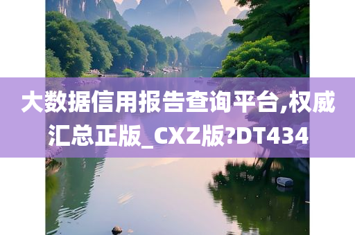 大数据信用报告查询平台,权威汇总正版_CXZ版?DT434