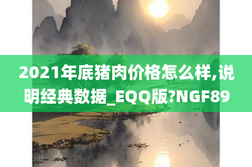 2021年底猪肉价格怎么样,说明经典数据_EQQ版?NGF89