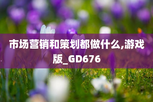 市场营销和策划都做什么,游戏版_GD676