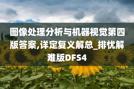 图像处理分析与机器视觉第四版答案,详定复义解总_排忧解难版DFS4