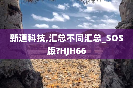 新道科技,汇总不同汇总_SOS版?HJH66