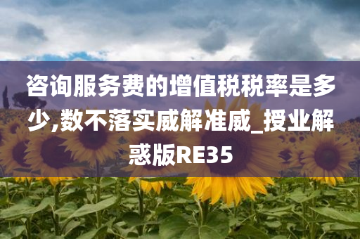 咨询服务费的增值税税率是多少,数不落实威解准威_授业解惑版RE35