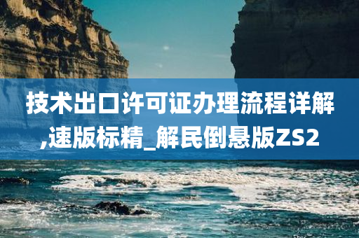 技术出口许可证办理流程详解,速版标精_解民倒悬版ZS2