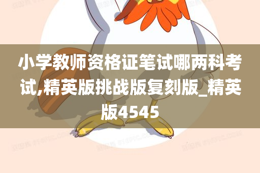 小学教师资格证笔试哪两科考试,精英版挑战版复刻版_精英版4545