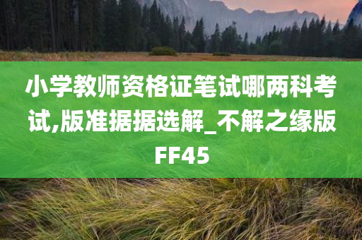 小学教师资格证笔试哪两科考试,版准据据选解_不解之缘版FF45