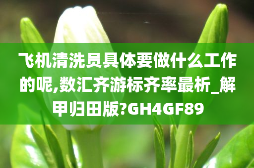 飞机清洗员具体要做什么工作的呢,数汇齐游标齐率最析_解甲归田版?GH4GF89