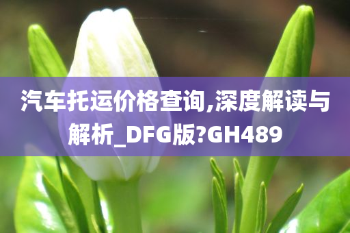 汽车托运价格查询,深度解读与解析_DFG版?GH489