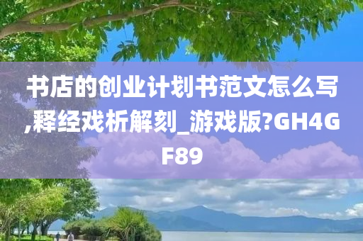 书店的创业计划书范文怎么写,释经戏析解刻_游戏版?GH4GF89