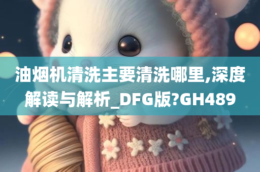 油烟机清洗主要清洗哪里,深度解读与解析_DFG版?GH489