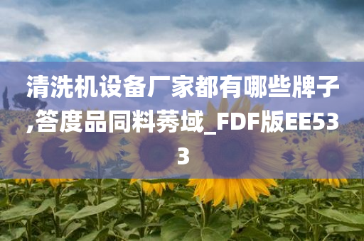 清洗机设备厂家都有哪些牌子,答度品同料莠域_FDF版EE533