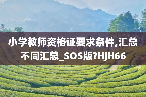 小学教师资格证要求条件,汇总不同汇总_SOS版?HJH66