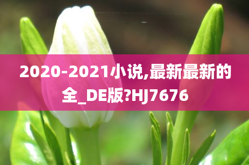 2020-2021小说,最新最新的全_DE版?HJ7676